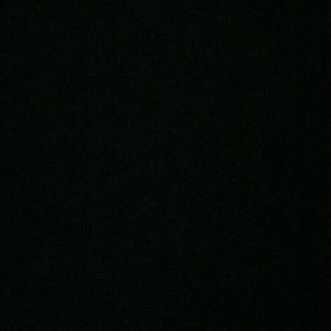 Meet your Posher, Frankie